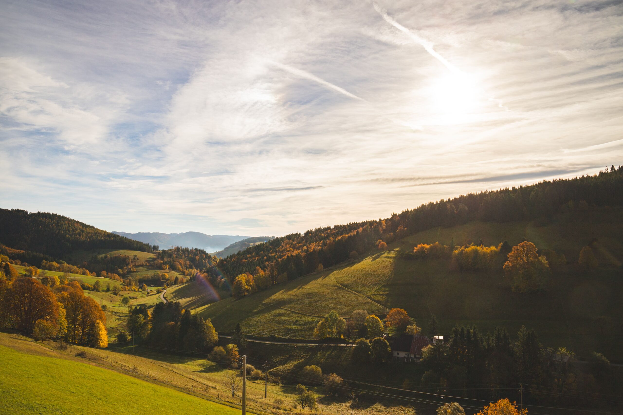 Schwarzwald Sonne Sommer